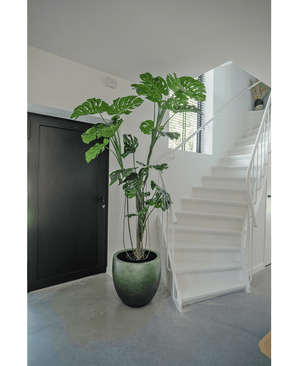 Piante Finte Monstera 210 cm