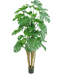 Piante Finte Monstera 210 cm