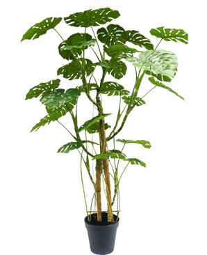 Piante Finte Monstera 240 cm