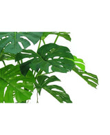 Piante Finte Monstera su stelo 145 cm