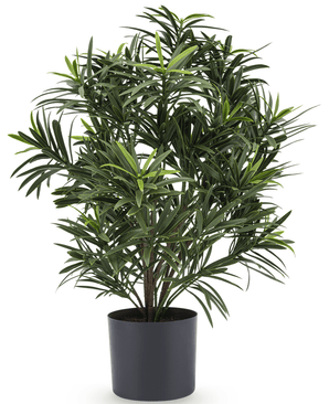 Piante Finte Podocarpus 47 cm