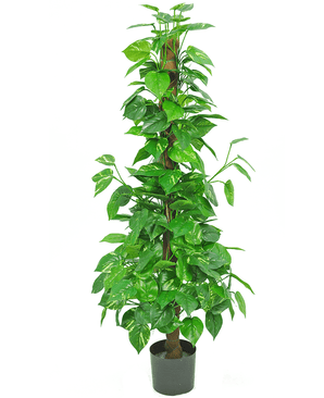 Piante Finte Pothos 150 cm