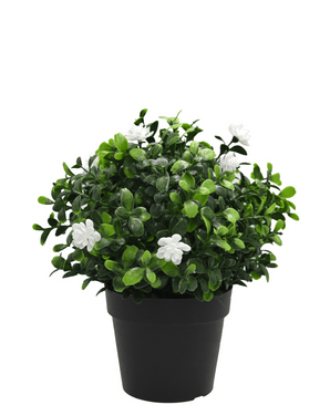 Piante Finte Pumila in vaso 21cm UV