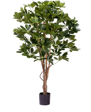 Piante Finte Schefflera 120 cm.