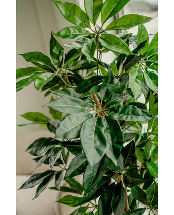 Piante Finte Schefflera 150 cm
