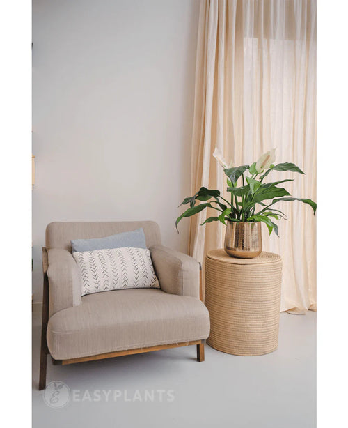 Una poltrona beige con un cuscino decorativo si trova accanto a un tavolino rotondo in vimini su cui è posizionata la pianta artificiale di Spathiphyllum bianco da 85 cm. Le barriere fotoelettriche sullo sfondo completano questi interni tranquilli e moderni.