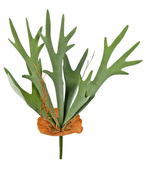 Piante Finte Staghorn 53 cm