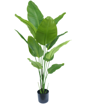 Piante Finte Strelitzia 150 cm real touch