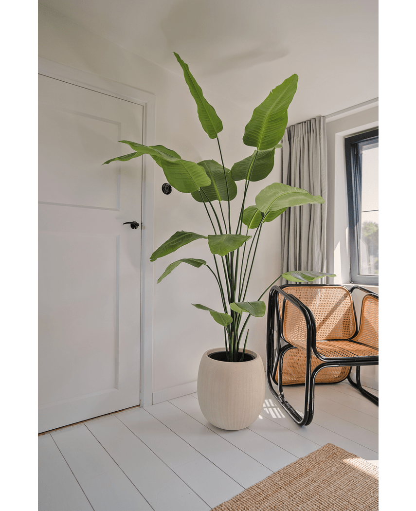 Piante Finte Strelitzia 210 cm real touch