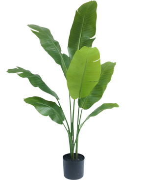Piante Finte Strelitzia Nicolai Deluxe 120 cm