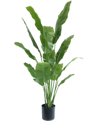 Piante Finte Strelitzia Nicolai Deluxe 170 cm