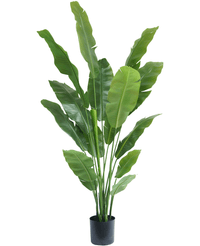 Piante Finte Strelitzia Nicolai Deluxe 185 cm