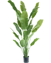 Piante Finte Strelitzia Nicolai Deluxe 215 cm