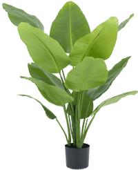 Piante Finte Strelitzia Real Touch Deluxe 120 cm