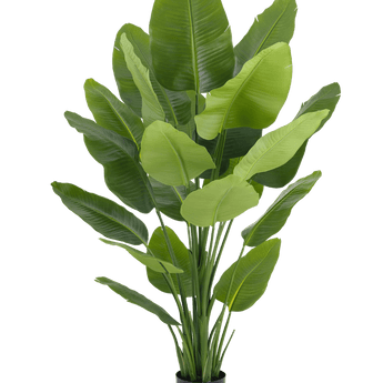 Piante Finte Strelitzia Real Touch Deluxe 180 cm