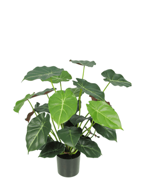 Piante Finte Syngonium 58 cm