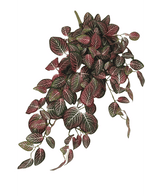 Piante Finte da parete Fittonia rossa e bianca 70 cm