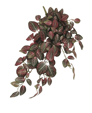 Piante Finte da parete Fittonia rossa e bianca 70 cm