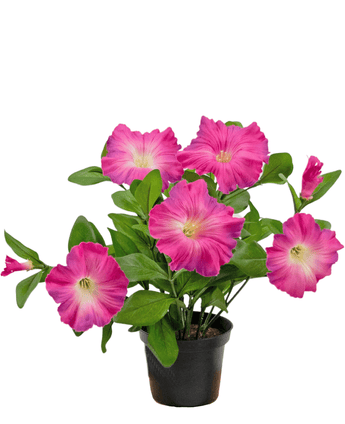 Piante Finte di Petunia 25 cm rosa scuro