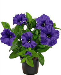 Piante Finte di Petunia 25 cm viola