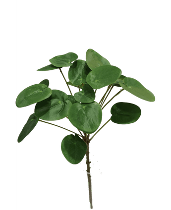 Piante Finte di Pilea Pancake 50 cm