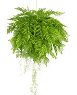 Piante Finte pensile Fern con radici d55 cm con sistema di sospensione