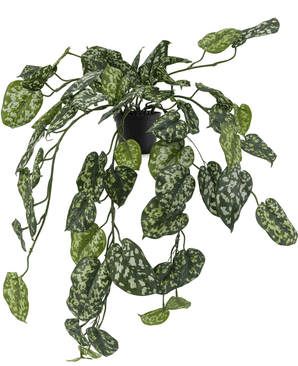Piante Finte pensile Scindapsus 70 cm