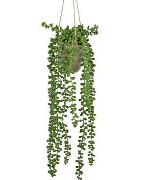 Piante Finte pensile Senecio in vaso 55 cm