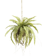 Piante Finte sospesa Fern su palla 76 cm