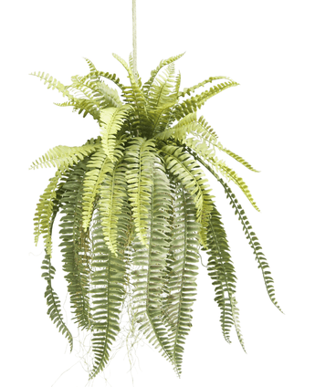 Piante Finte sospesa Fern su palla 76 cm