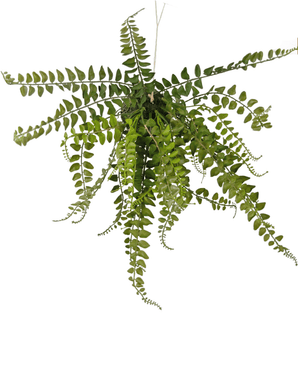 Piante Finte sospesa Palla di felce 45 cm