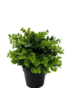 Piante Finte verde in vaso 22 cm UV