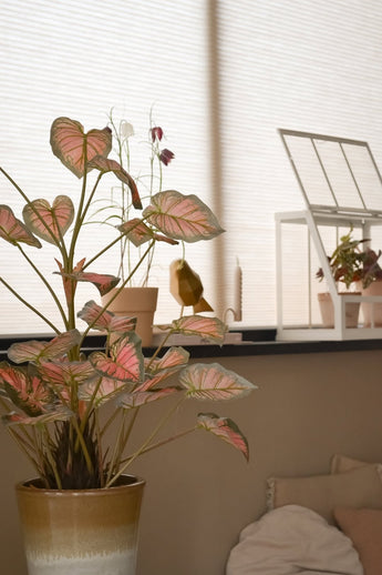 De kunstplant Caladium van 90 cm, roze met roze getinte bladeren, staat op de voorgrond op een vensterbank, naast andere planten, decoraties en een wit minikasje, allemaal badend in zacht natuurlijk licht dat de gezellige kamer vult.