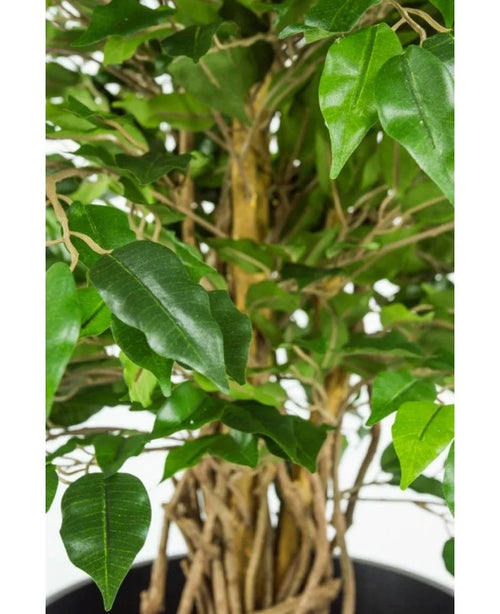 Primo piano del fusto intrecciato e delle foglie verdi della pianta artificiale Ficus Liana da ufficio da 90 cm su sfondo chiaro.