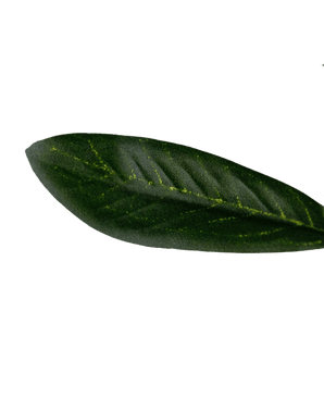 Rami di Ulivo finti 109 cm