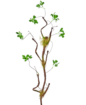Ramo artificiale Enkianthus 100 cm verde