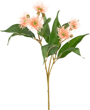 Ramo artificiale Eucalipto fiorito 62 cm rosa antico