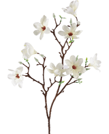 Ramo artificiale Magnolia a fiore piccolo 89 cm bianco