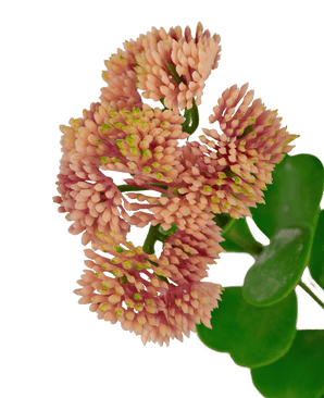 Ramo artificiale Sedum 56 cm rosa chiaro