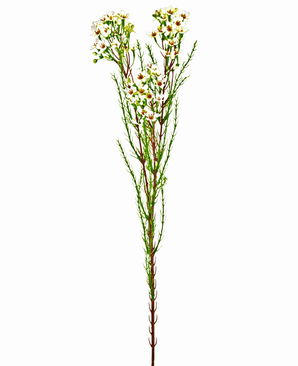 Ramo artificiale Waxflower 78 cm crema