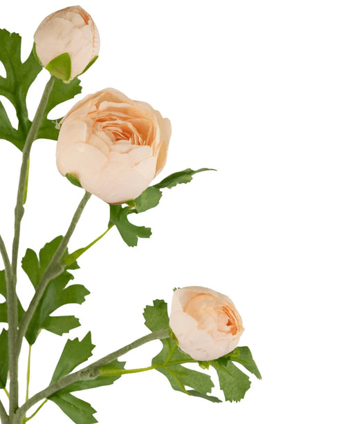 Un ramo di ranuncolo artificiale x5 Real Touch rosa con stelo da 62 cm con cinque ranuncoli color pesca e foglie verdi su uno sfondo bianco. Alcuni fiori sono parzialmente aperti, mentre altri hanno petali completamente stratificati.