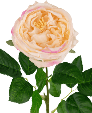 Rosa artificiale da giardino "Anniken" Real Touch peach 72cm