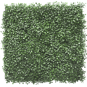 Siepe artificiale Buxus 50x50 cm UV