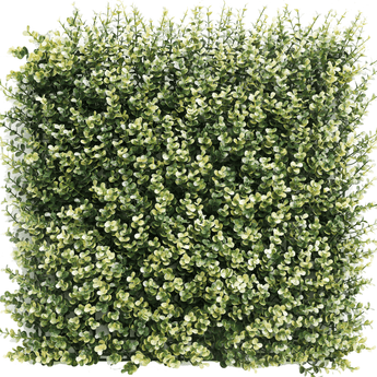 Siepe artificiale Buxus beige 50x50 cm UV