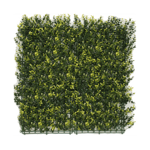 Siepe artificiale Buxus giallo 50x50 cm UV