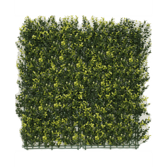 Siepe artificiale Buxus giallo 50x50 cm UV