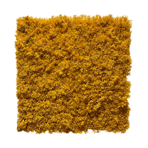 Siepe artificiale Muschio giallo resistente al fuoco 50x50cm