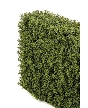 Siepe artificiale di bosso 70x20x50 cm UV