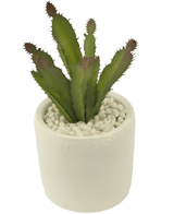 Succulenta artificiale da 20 cm