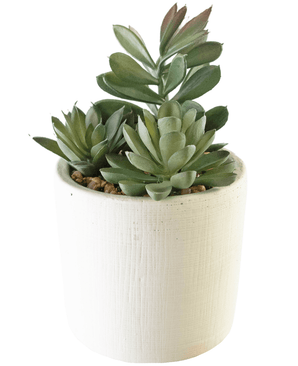 Succulenta artificiale da 20 cm